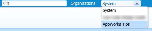 organization_004